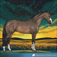 Horse Color:Brown Dun 