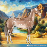 Horse Color:White Spotted Brown Pearl 