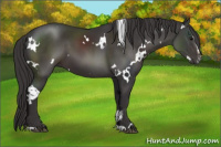 Horse Color:White Spotted Smoky Black Sabino 
