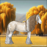 Horse Color:White Spotted Grullo Pearl Splash 