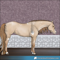 Horse Color:White Spotted Grullo Pearl Splash 