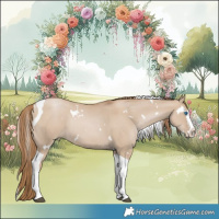 Horse Color:White Spotted Grullo Pearl Splash Tobiano Rabicano 
