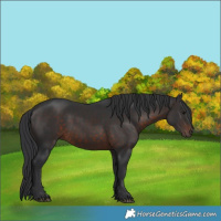 Horse Color:Brown 