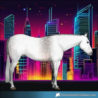 Horse Color:Gray Bay Frame 