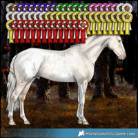 Horse Color:Gray White Spotted Silver Amber Cream Champagne Pearl Dun Splash Tobiano Frame Appaloosa Rabicano