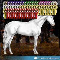 Horse Color:Gray White Spotted Silver Amber Cream Champagne Pearl Dun Splash Tobiano Frame Appaloosa Rabicano