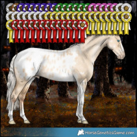 Horse Color:Gray White Spotted Silver Amber Cream Champagne Pearl Dun Splash Tobiano Frame Blanket Rabicano 