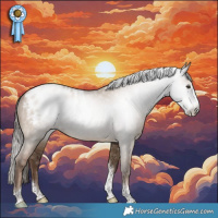 Horse Color:Gray Grullo Pearl Splash Tobiano Appaloosa Rabicano 