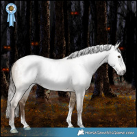 Horse Color:Gray Grullo Pearl Splash Tobiano Appaloosa Rabicano