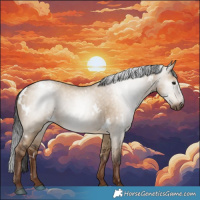 Horse Color:Gray White Spotted Liver Red Dun Appaloosa Rabicano 