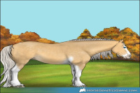 Horse Color:Silver Amber Cream Champagne Dun Splash Tobiano 