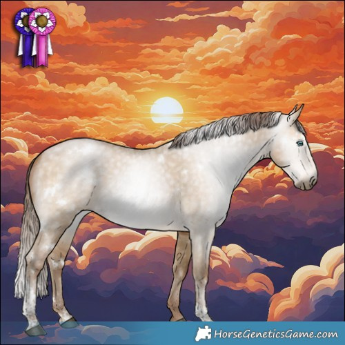 Horse Color:Gray White Spotted Buckskin Pearl Dun Tobiano Appaloosa Rabicano 