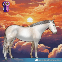 Horse Color:Gray White Spotted Buckskin Snowdrop Dun Tobiano Varnish Rabicano