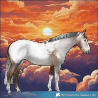 Horse Color:Gray Brown Pearl Splash Tobiano Appaloosa Rabicano 