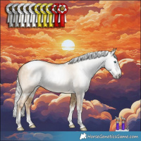 Horse Color:Gray White Spotted Silver Amber Cream Champagne Pearl Splash Tobiano Rabicano 