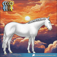 Horse Color:White Spotted Silver Classic Cream Champagne Pearl Dun Splash Tobiano Frame Appaloosa Rabicano