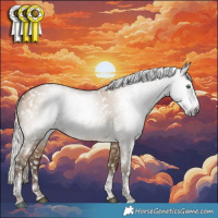 Horse Color:Gray Silver Bay Pearl Dun Tobiano Frame Appaloosa Rabicano 