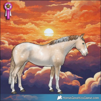 Horse Color:White Spotted Buckskin Pearl Splash Tobiano Appaloosa Rabicano
