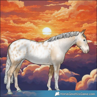 Horse Color:Gray White Spotted Silver Amber Cream Champagne Pearl Tobiano Near Leopard Rabicano 