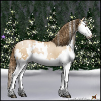 Horse Color:White Spotted Grullo Pearl Splash 