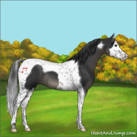 Horse Color:Black Splash Tobiano