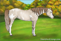 Horse Color:White Spotted Grullo Pearl Splash