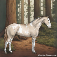 Horse Color:White Spotted Grullo Pearl Splash