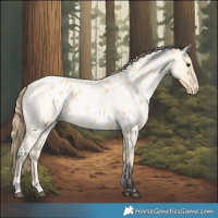 Horse Color:Buckskin Roan Near Leopard  and Buckskin Roan Pearl 
