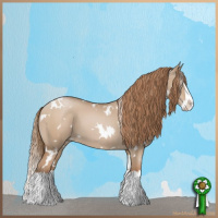 Horse Color:White Spotted Grullo Pearl Splash