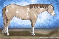 Horse Color:White Spotted Grullo Pearl Splash 