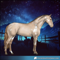 Horse Color:White Spotted Grullo Pearl