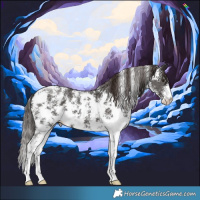 Horse Color:Liver Chestnut Sabino