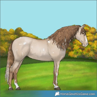 Horse Color:White Spotted Grullo Pearl Splash 