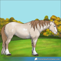 Horse Color:White Spotted Grullo Pearl Splash 