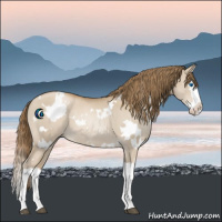 Horse Color:White Spotted Grullo Pearl Splash