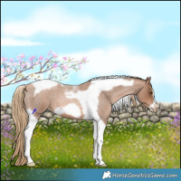 Horse Color:Liver Red Roan Pearl Tobiano Frame 
