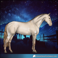 Horse Color:White Spotted Grullo Pearl