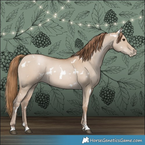 Horse Color:White Spotted Grullo Pearl 