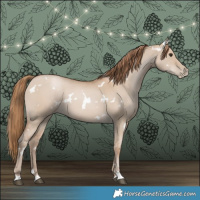 Horse Color:White Spotted Grullo Pearl 