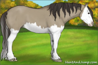Horse Color:Smoky Grullo Splash 