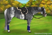 Horse Color:White Spotted Black Splash 