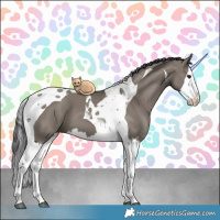 Horse Color:Grullo Splash Tobiano