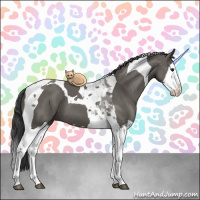 Horse Color:Grullo Splash Tobiano 