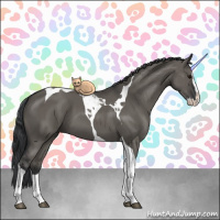 Horse Color:Grullo Splash Tobiano