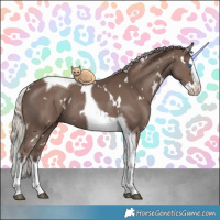Horse Color:White Spotted Silver Black Splash Tobiano 