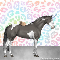 Horse Color:Grullo Splash Tobiano 