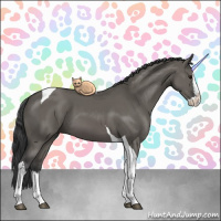 Horse Color:Grullo Splash Tobiano 