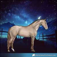 Horse Color:White Spotted Grullo Pearl Splash