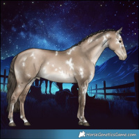Horse Color:White Spotted Grullo Pearl 