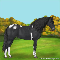 Horse Color:Black Tobiano Varnish 